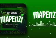 Audio: Mzee Wa Bwax - Mapenzi (Mp3 Download) - KibaBoy