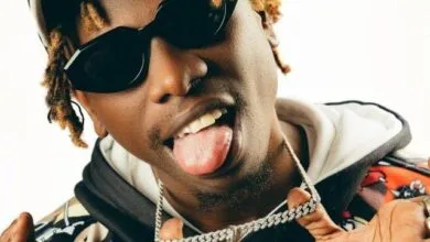 Audio: Country Wizzy - Shake That Ass (Mp3 Download)