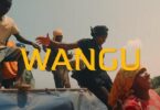 VIDEO: Q Chief - Wangu (Mp4 Download) - KibaBoy