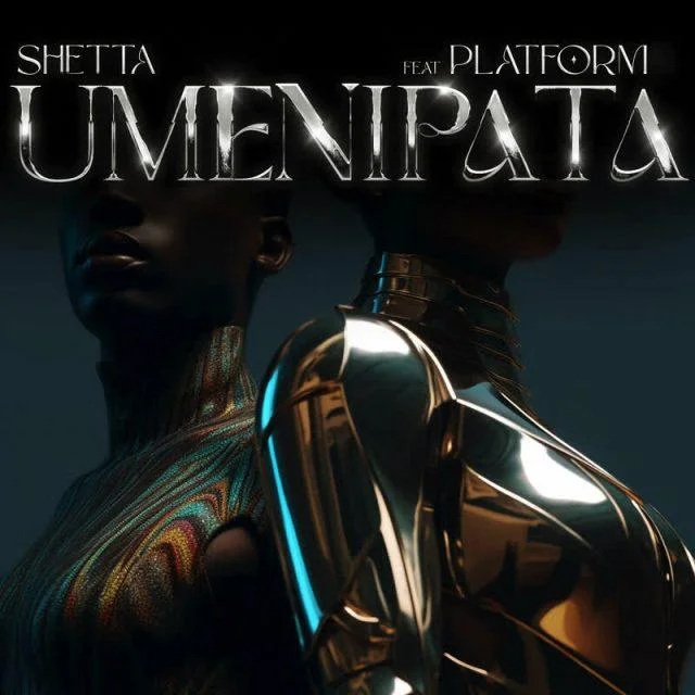 AUDIO | Shetta Ft. Platform - Umenipata | Mp3 DOWNLOAD