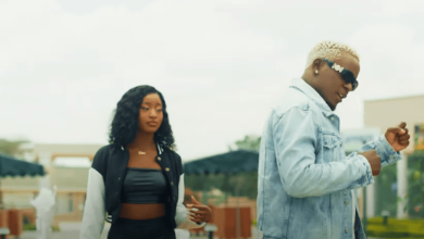 VIDEO: Willy Paul - Tulia ( Bebi Shak ) | Mp4 Download - KibaBoy