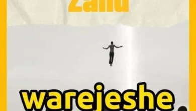 Audio: Zaiid - Warejeshe (Mp3 Download)