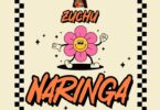 Audio: Zuchu - Naringa (Mp3 Download) - KibaBoy