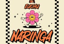 Audio: Zuchu - Naringa (Mp3 Download) - KibaBoy