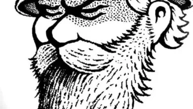 Audio: Chindo Man - Hauwezi Battle (Khaligraph Jones) (Mp3 Download)