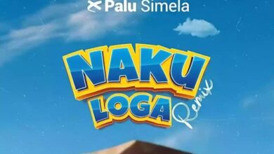 Audio: Amber Lulu Ft. Palu Simela – Nakuloga REMIX (Mp3 Download) - KibaBoy