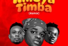 Audio: Whozu Ft. Mbosso X Billnass - Ameyatimba Remix (Mp3 Download) - KibaBoy