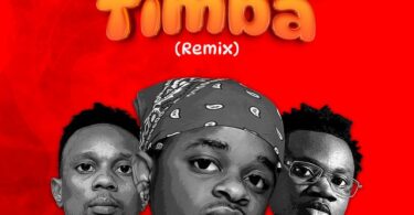 Ameyatimba Remix By Whozu Ft. Mbosso Billnass