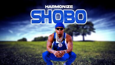 Audio: Harmonize - Shobo (Mp3 Download - KibaBoy