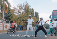 Lyrics VIDEO: Alikiba Ft. Tommy Flavour - Huku (Mp4 Download) - KibaBoy