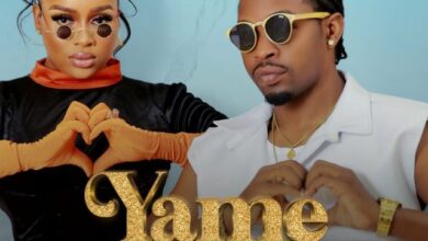 Audio: Mocco Genius Ft Nandy - Yamenishika Remix (Mp3 Download) - KibaBoy