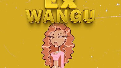 Audio: Rakesh Ft. Fine Boy - EX WANGU (Mp3 Download)