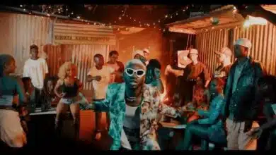 VIDEO: Sholo Mwamba Ft. Mczo Mofan - Irudiwe (Mp4 Download)