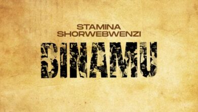 Audio: Stamina Ft. Mwana FA - Binamu Remix (Mp3 Download) - KibaBoy