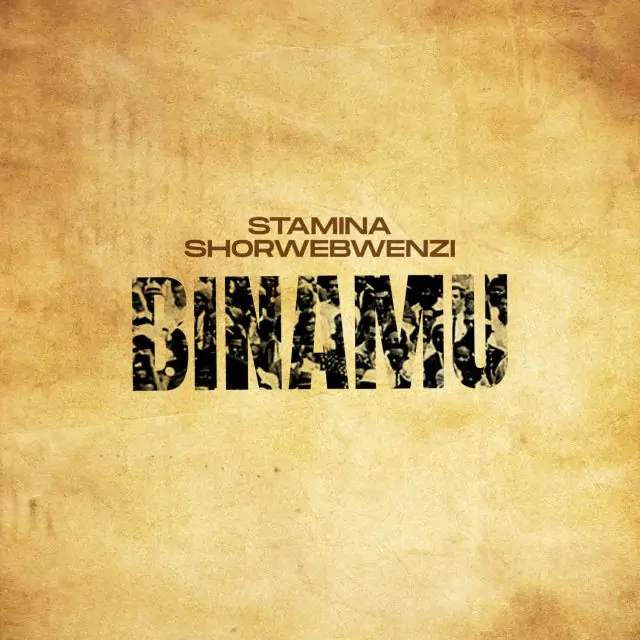 Audio: Stamina Ft. Mwana FA - Binamu Remix (Mp3 Download)