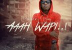 Audio: Country Wizzy Ft S2kizzy - AAh Wapi (Mp3 Download) - KibaBoy