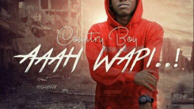 Audio: Country Wizzy Ft S2kizzy - AAh Wapi (Mp3 Download) - KibaBoy