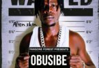 Audio: Alien Skin - OBUSIBE (Mp3 Download) - KibaBoy