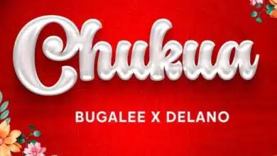 Audio: Bugalee Ft Delano - CHUKUA (Mp3 Download)