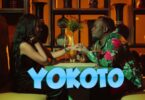 Audio: David Lutalo Ft. Pafect - Yokoto (Mp3 Download) - KibaBoy