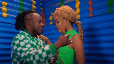 VIDEO: David Lutalo Ft. Pafect - Yokoto (Mp4 Download) - KibaBoy