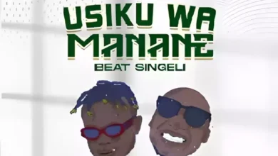 Audio: Dj Mushizo - Wengine Tunaaza Usiku (Mp3 Download) - KibaBoy