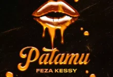 Audio: Feza Kessy - Patamu (Mp3 Download) - KibaBoy