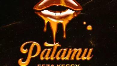 Audio: Feza Kessy - Patamu (Mp3 Download) - KibaBoy