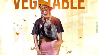 Audio: Kid Dee - Vegetable (Mp3 Download) - KibaBoy