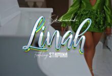 VIDEO: Linah Ft. Stamina – Sikukumbuki (Mp4 Download) - KibaBoy