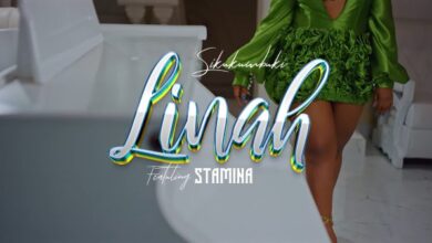 VIDEO: Linah Ft. Stamina – Sikukumbuki (Mp4 Download) - KibaBoy