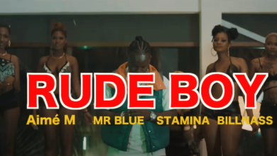 VIDEO: Aimé. M Ft. Mr. Blue, Billnass & Stamina - Rude Boy (Mp4 Download) - KibaBoy