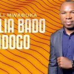 Audio: Sifaeli Mwabuka - Vumilia Bado Kidogo (Mp3 Download) - KibaBoy