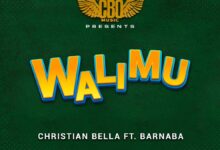 Audio: Christian Bella Ft. Barnaba - Walimu (Mp3 Download) - KibaBoy