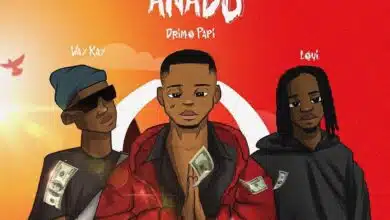 Audio: Way Kay Ft. Drimo Papi & Loui - ANADO (Mp3 Download)