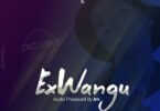 Audio: D Voice – Ex wangu (Mp3 Download) - KibaBoy