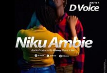 Audio: D Voice – Niku Ambie (Mp3 Download) - KibaBoy