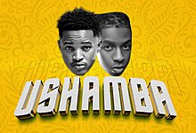 Audio: Dj Mushizo ft Platform - Ushamba (Mp3 Download)