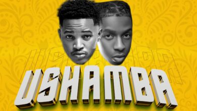 Audio: Dj Mushizo ft Platform - Ushamba (Mp3 Download)