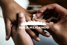 Audio: Nala Mzalendo - Mke wangu (Mp3 Download) - KibaBoy