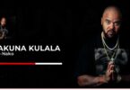 Audio: P-Funk Majani ft. G Nako - Hakuna Kulala (Mp3 Download) - KibaBoy