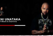 Audio: P-Funk Majani ft. P1 Black & Stamina - Nini Unataka (Mp3 Download) - KibaBoy