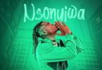 Audio: Pallaso - NSONYIWA (Mp3 Download) - KibaBoy