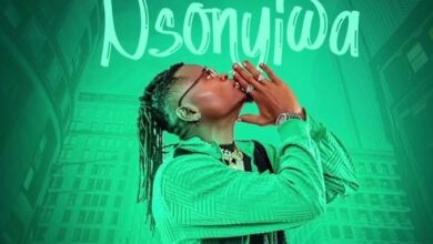 Audio: Pallaso - NSONYIWA (Mp3 Download) - KibaBoy