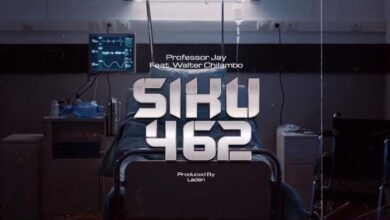 Audio: Professor Jay Ft. Walter Chilambo - Siku 462 (Mp3 Download) - KibaBoy