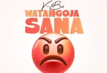 Audio: Vijana Barubaru - Watangoja Sana (Mp3 Download) - KibaBoy