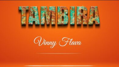 Audio: Vinny Flava - TAMBIRA (Mp3 Download) - KibaBoy