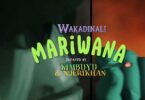 Audio: Wakadinali - Mariwana (Mp3 Download) - KibaBoy