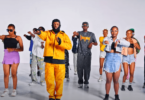 VIDEO: Whozu Ft. Billnass & Mbosso - Ameyatimba Remix (Mp4 Download) - KibaBoy