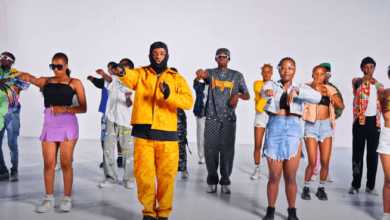 VIDEO: Whozu Ft. Billnass & Mbosso - Ameyatimba Remix (Mp4 Download) - KibaBoy